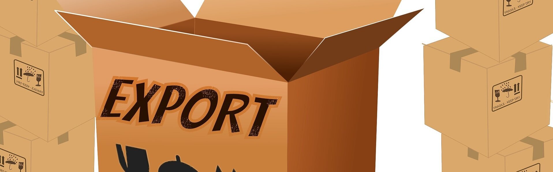 Das Bild zeigt einen Karton mit der Aufschrift "Export".