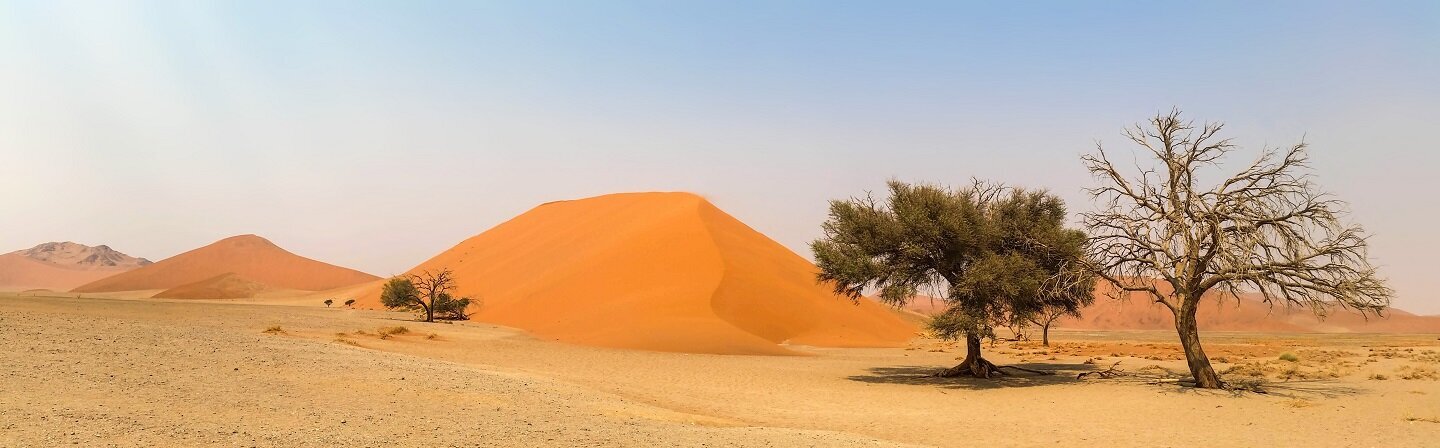 Das Bild zeigt die Wüste Namibias.