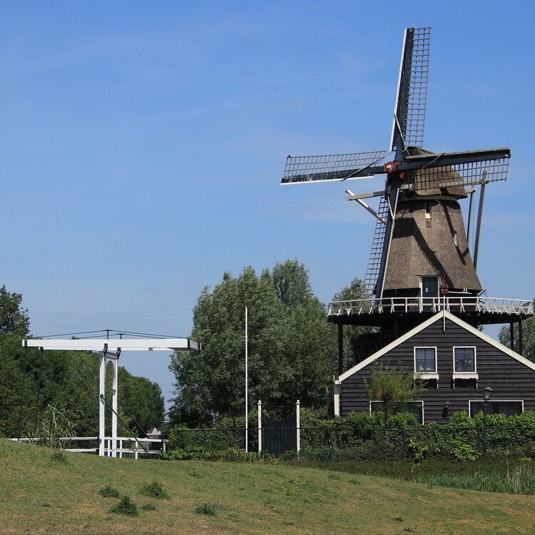 Das Bild zeigt Mühlen in Holland