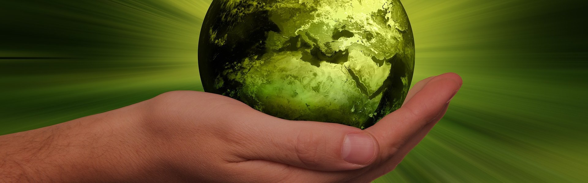 Das Bild zeigt eine Hand auf der eine grün eingefärbte Erdkugel liegt.