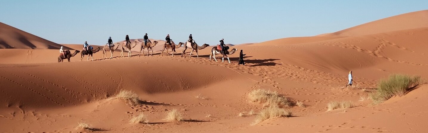 Das Bild zeigt eine Wüstenszenerie mit Kamelen in Ägypten.