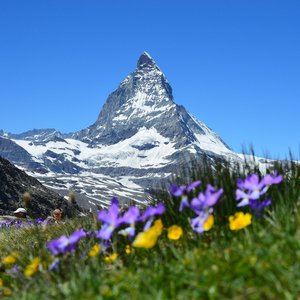 Das Bild zeigt das Matterhorn